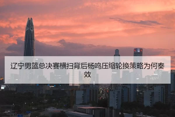 辽宁男篮总决赛横扫背后杨鸣压缩轮换策略为何奏效