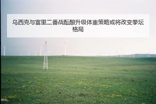 乌西克与富里二番战酝酿升级体重策略或将改变拳坛格局