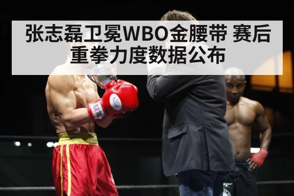 张志磊卫冕WBO金腰带 赛后重拳力度数据公布